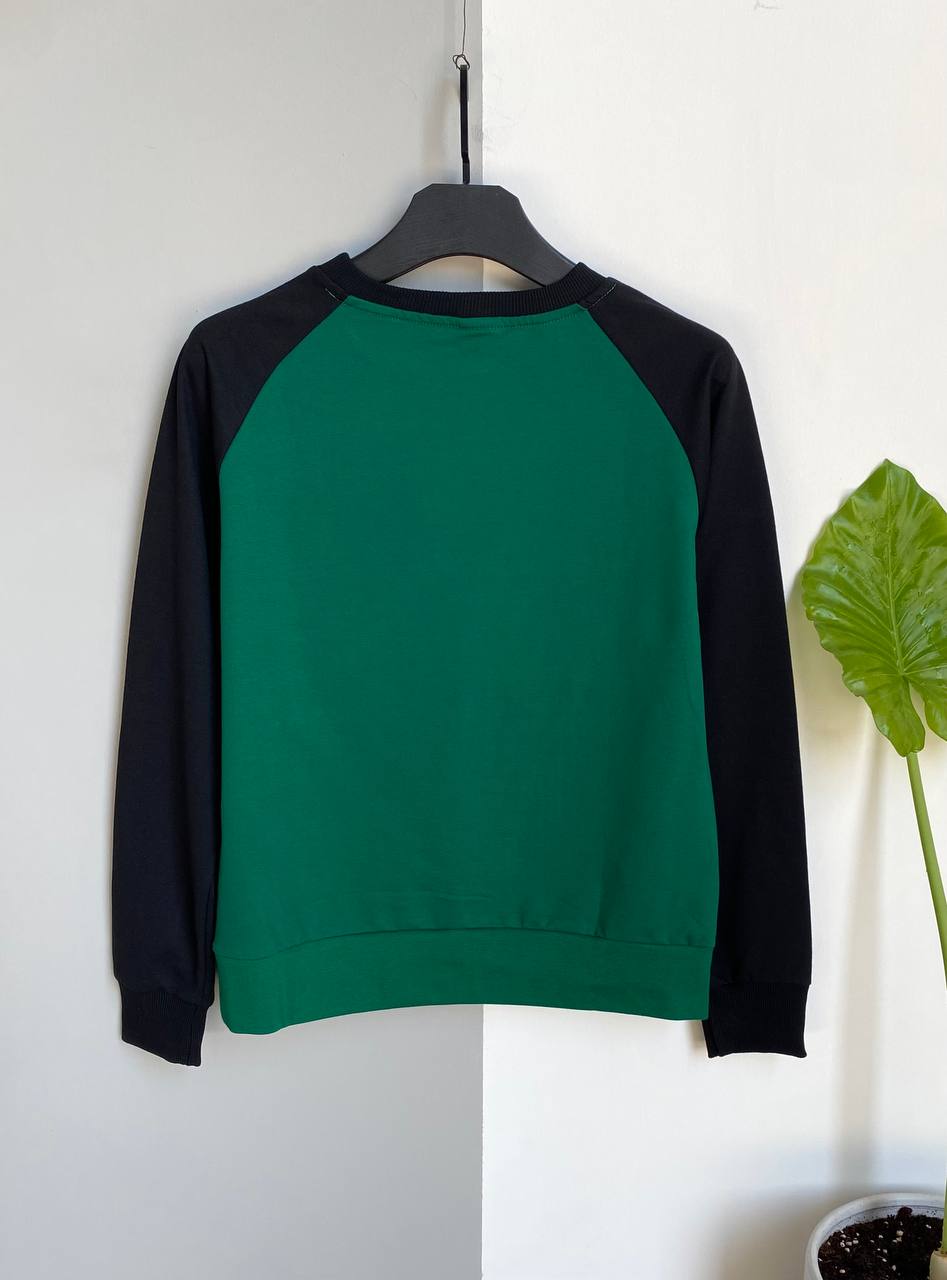 سويتشيرت ايكلبيست لون رصاصي