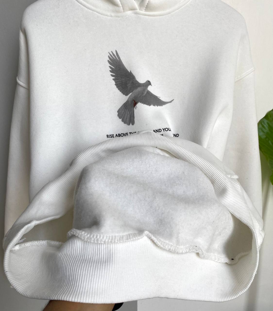 هودي ارتفع فوق العاصفة لترى الشروق