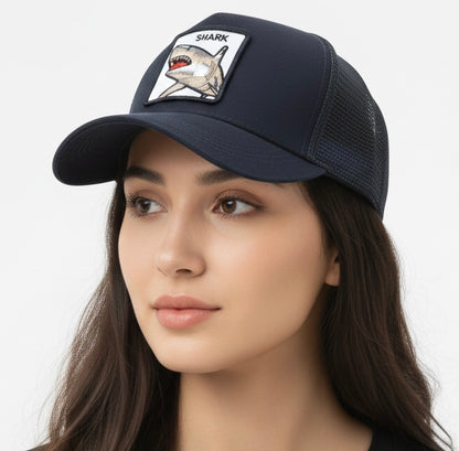 شفقة القرش ✅