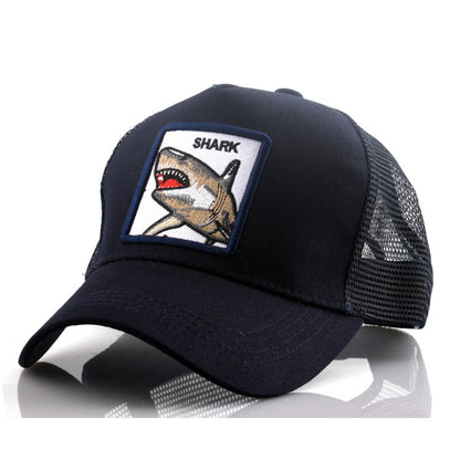 شفقة القرش ✅