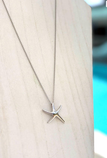 قلادة نجمة البحر فضي