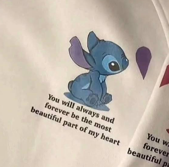 هودي ثنائي ليلو وستيتش
